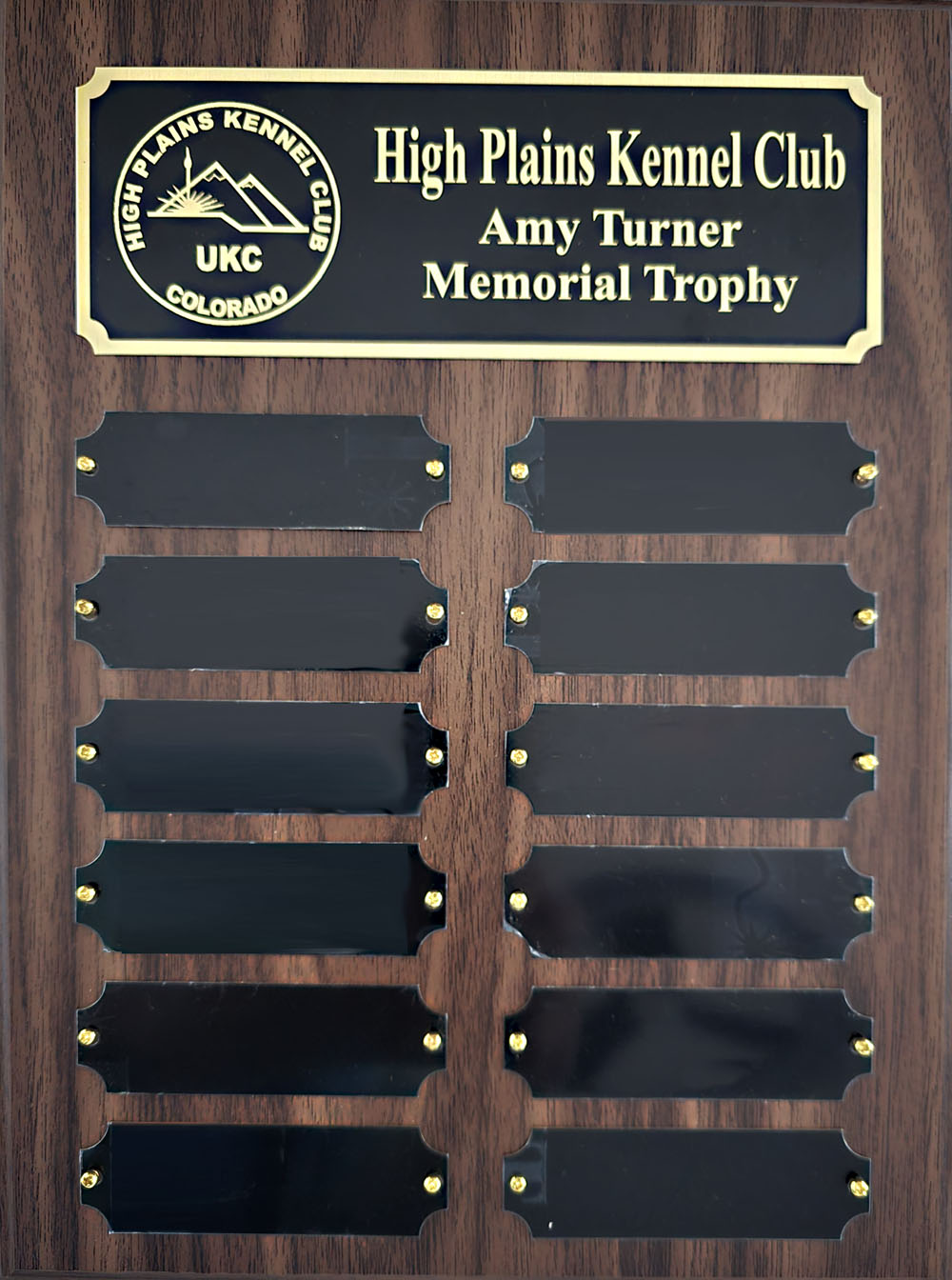 The Amy Turner Memorial Trophy Plaque